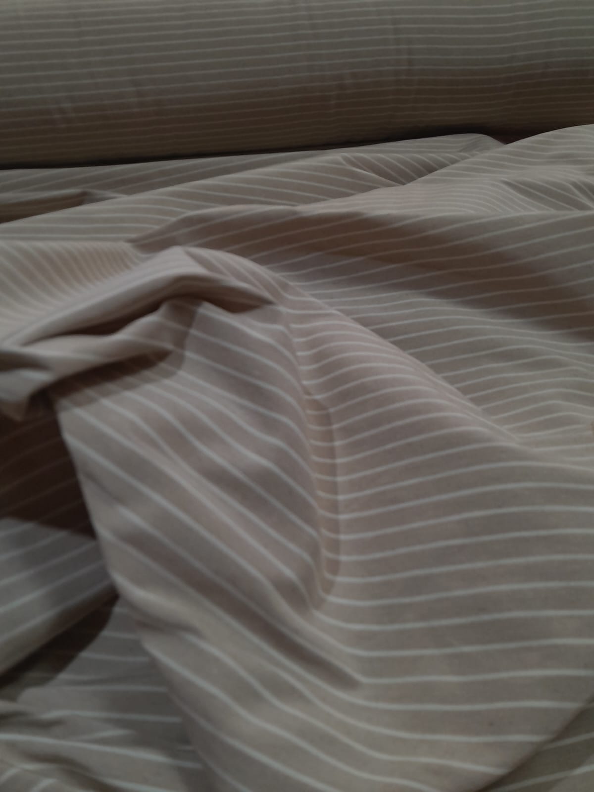 imagen de Tussor basque beige