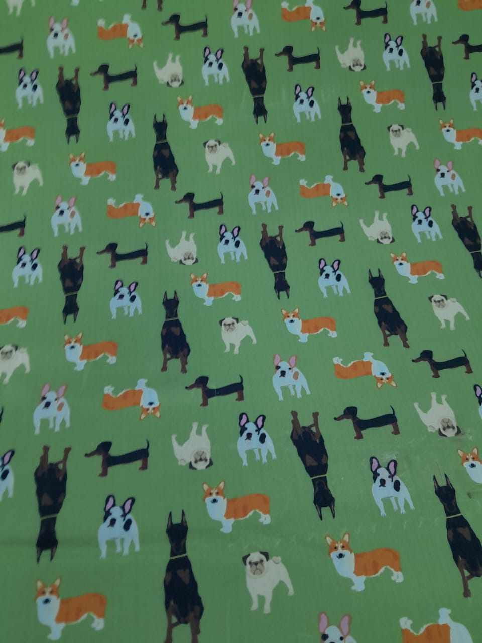 imagen de Cordura perros