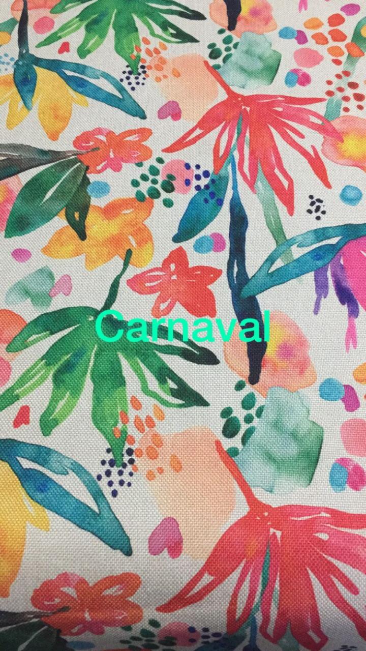 imagen de Lino de Tapiceria Carnaval