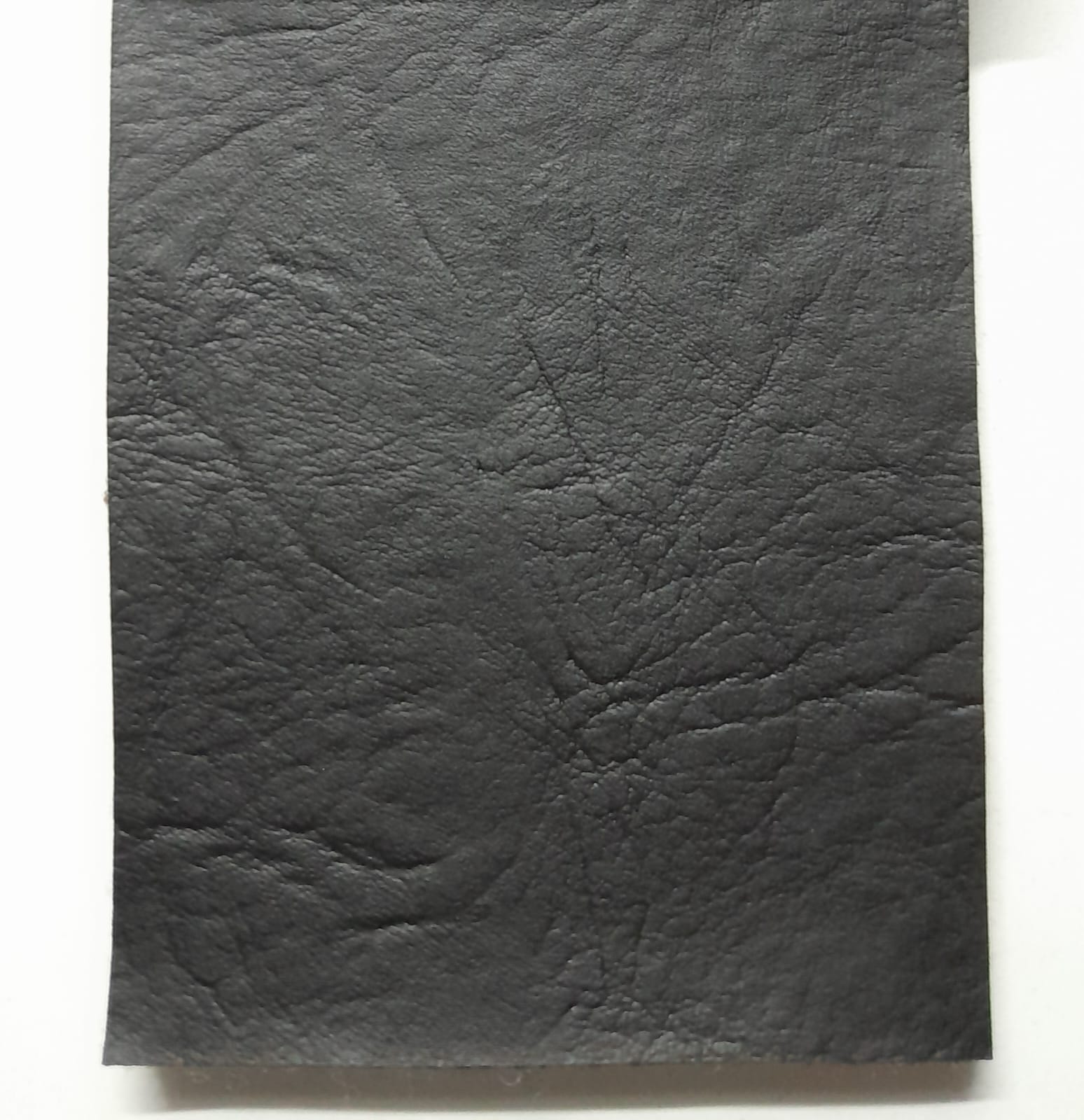 imagen de Cuerina negra