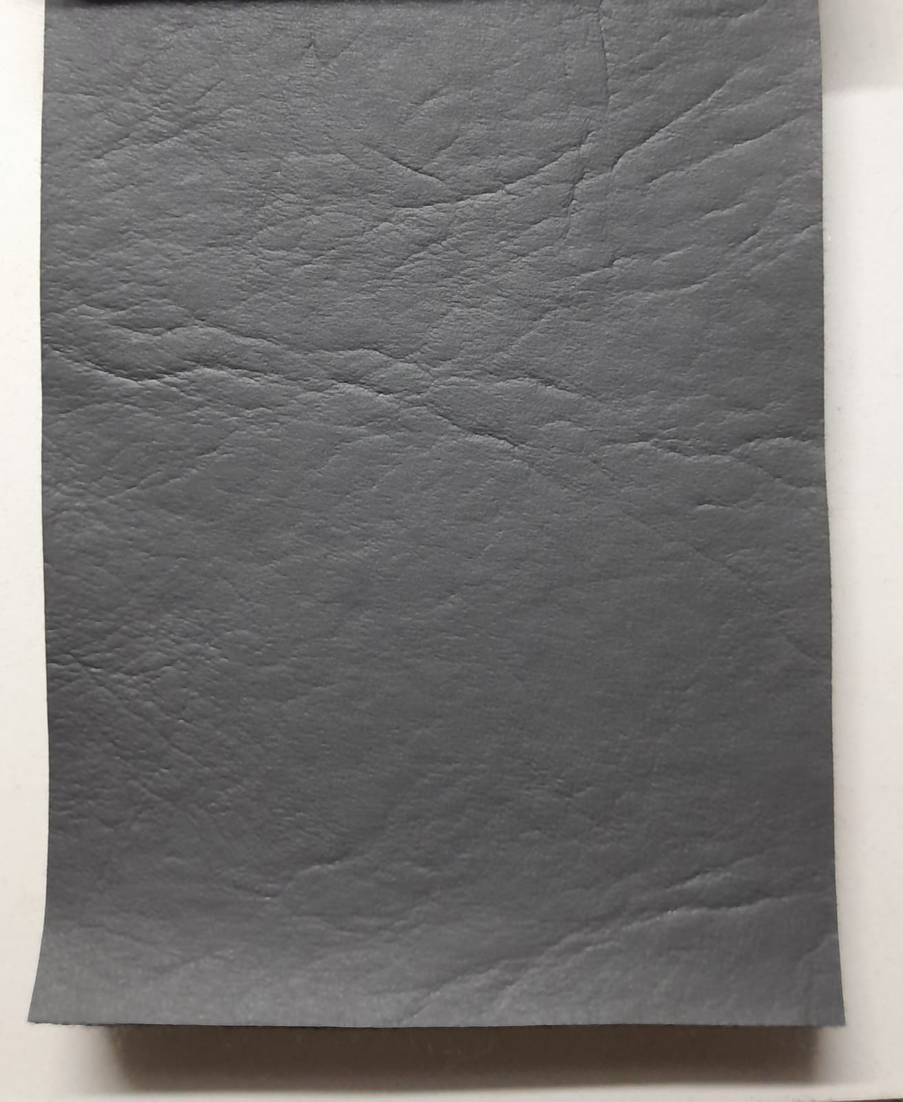 imagen de Cuerina gris