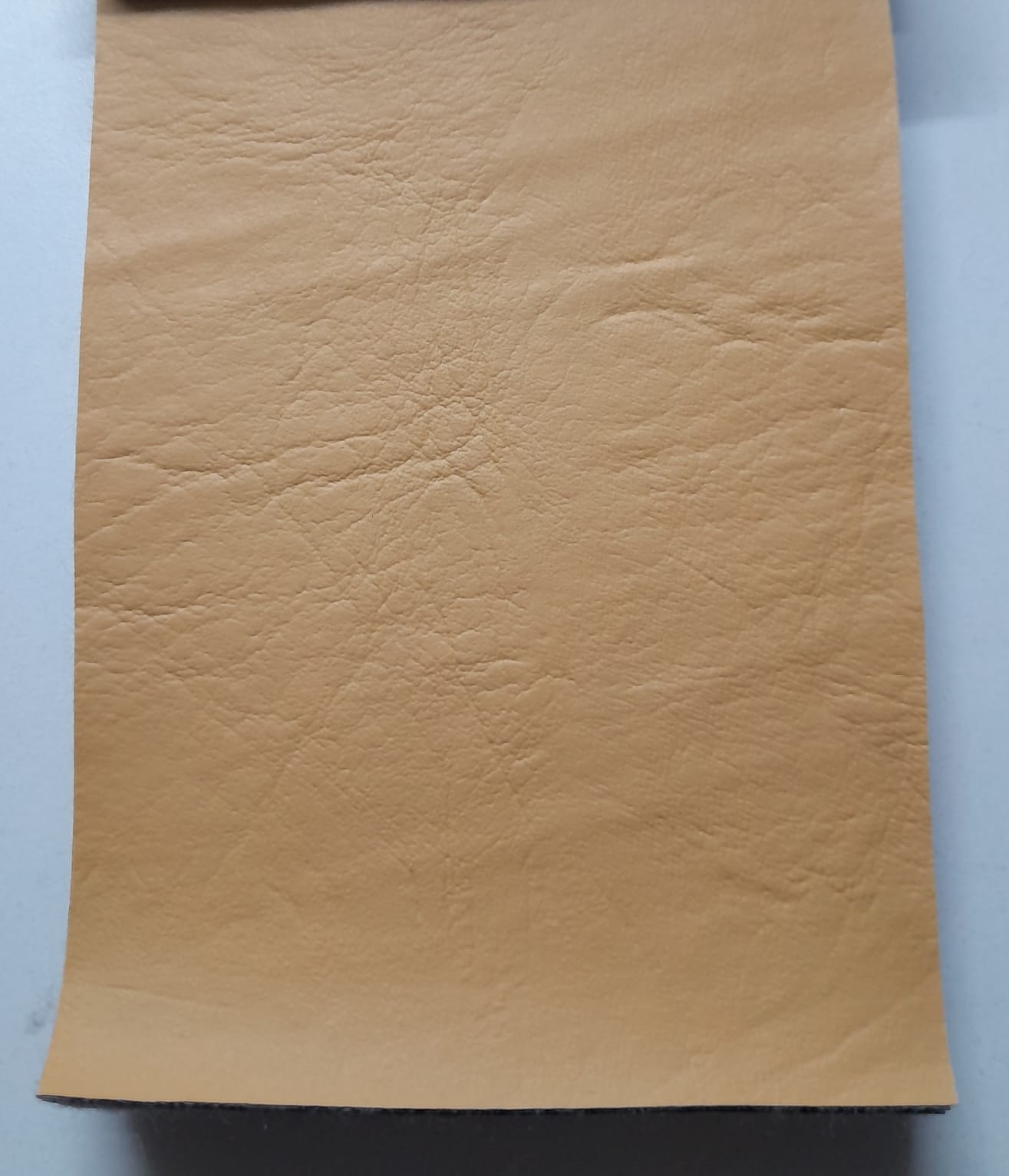 imagen de Cuerina maiz