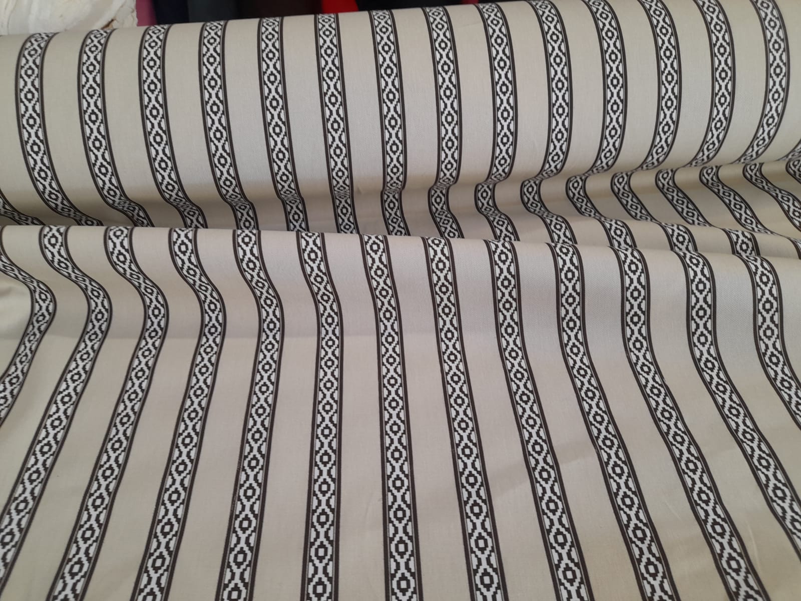 imagen de Gabardina guarda pampa beige y negro