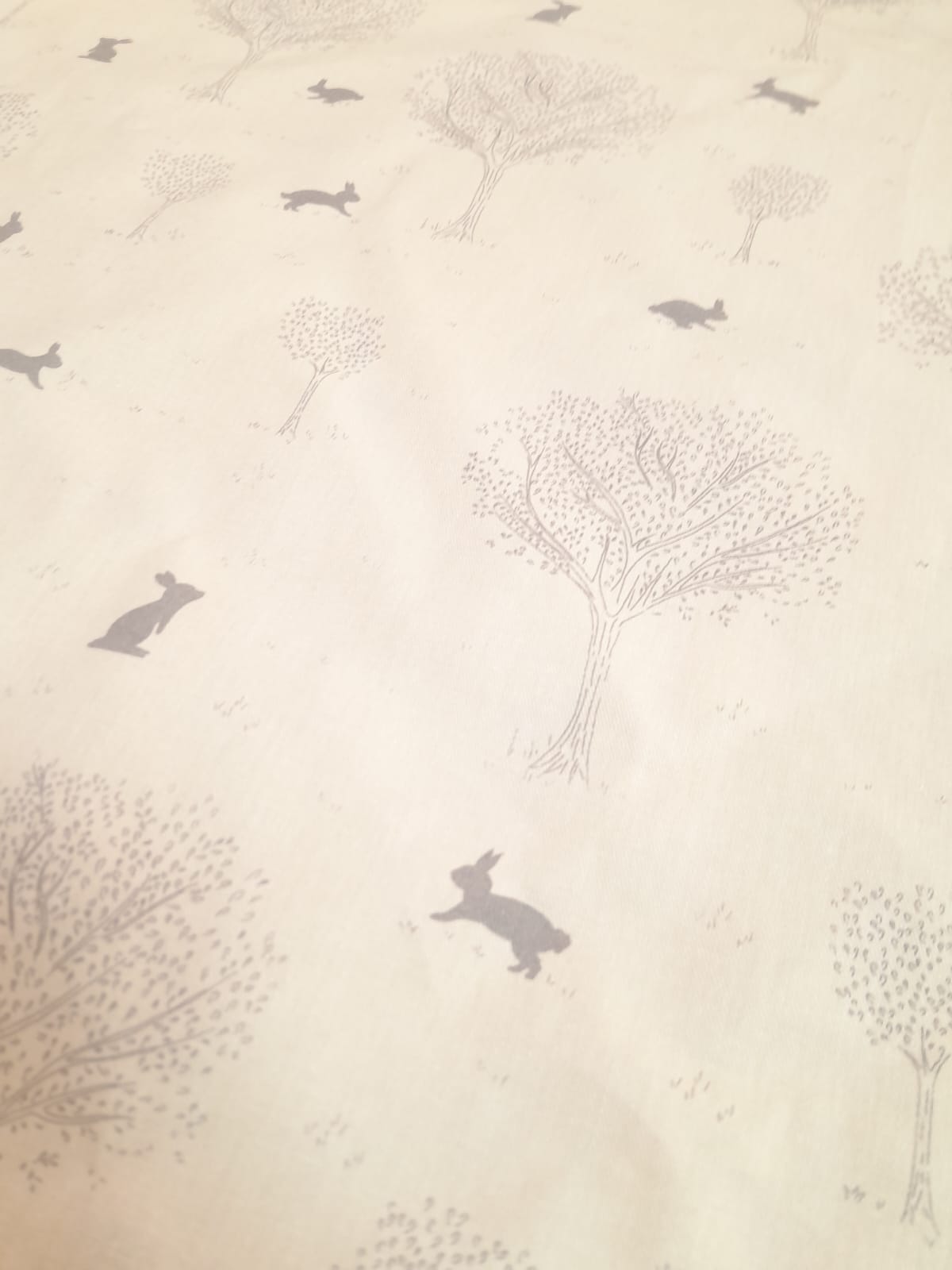 imagen de Gabardina de algodon rabbit avellana