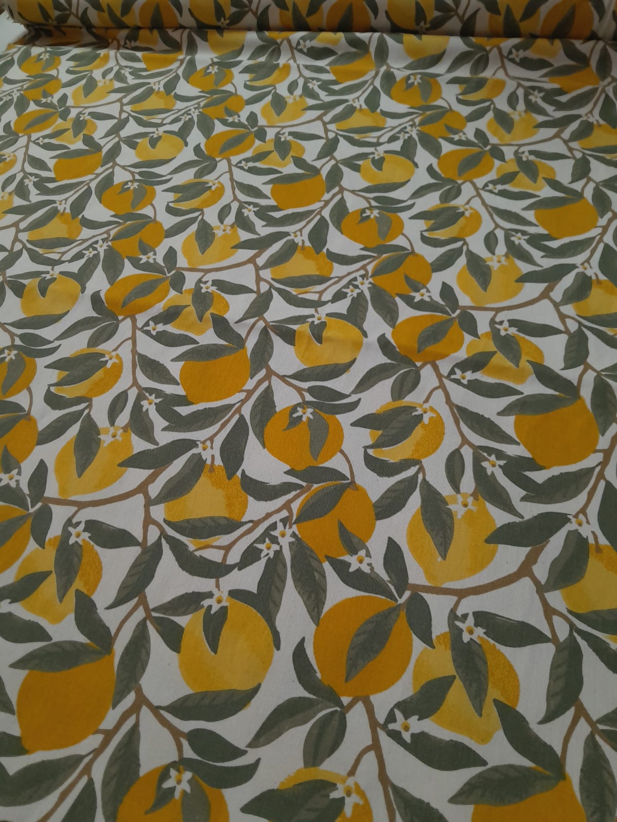 imagen de Gabardina estampada limones