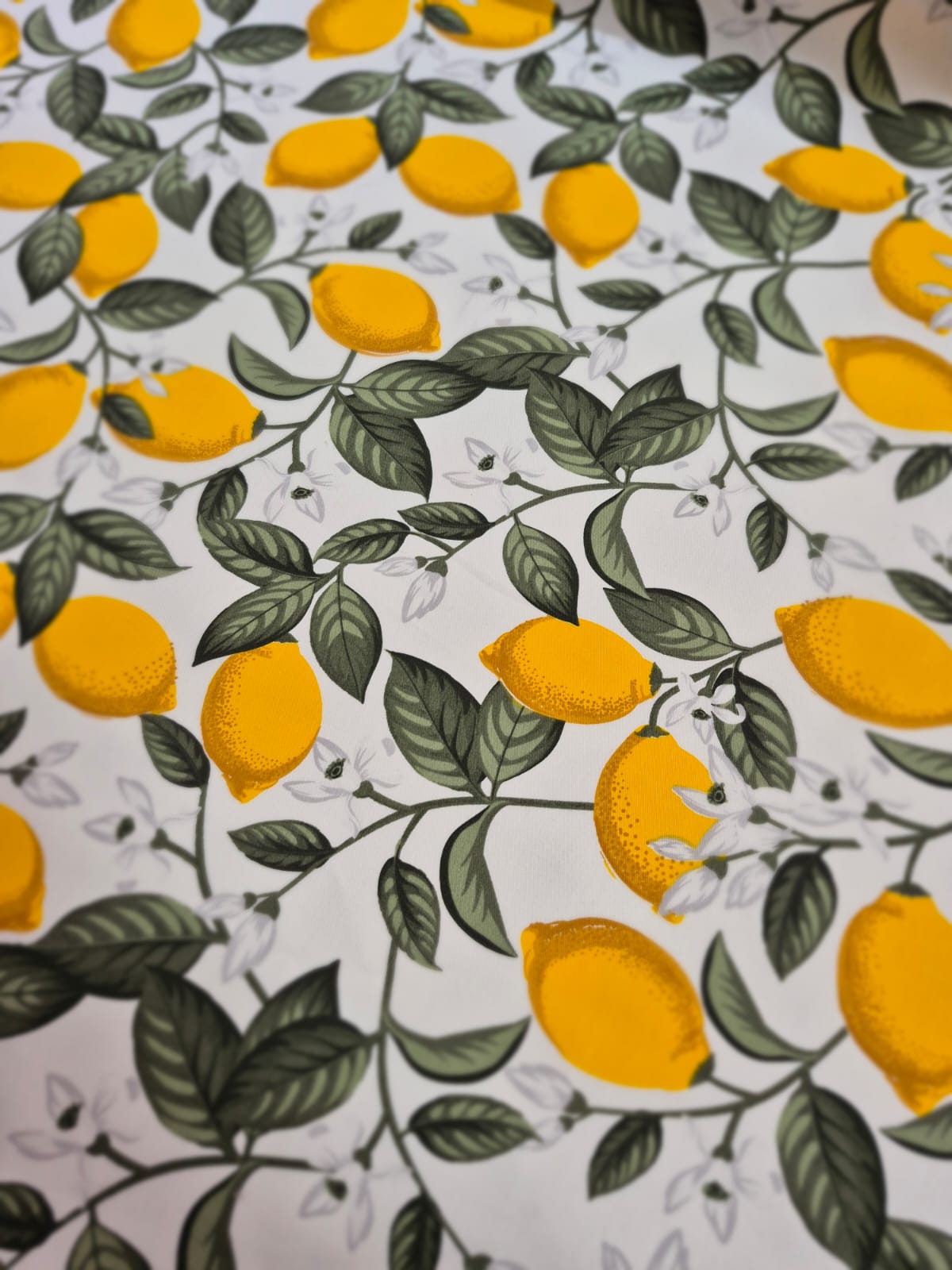 imagen de Gabardina estampada limones