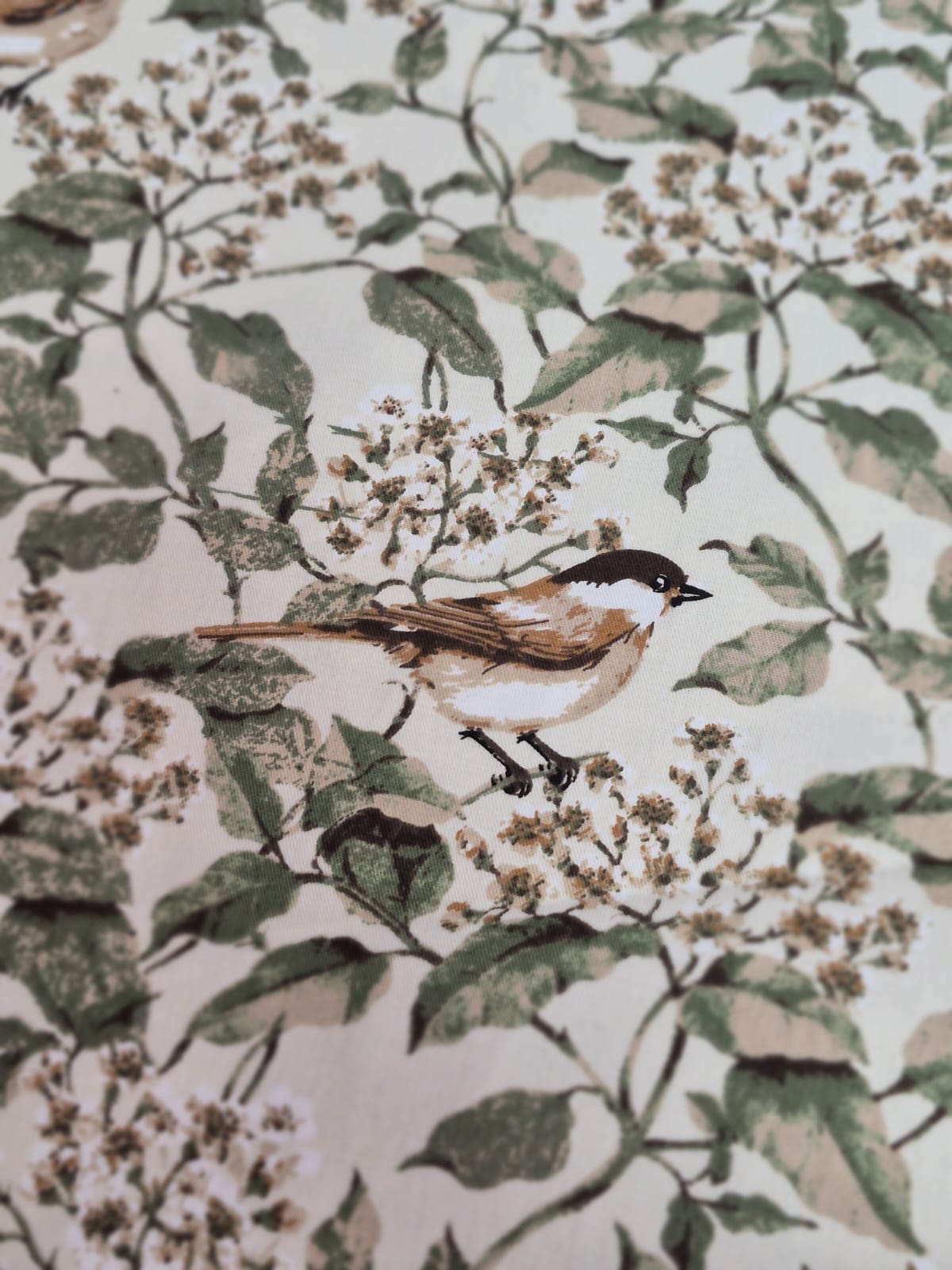 imagen de Gabardina pajaros