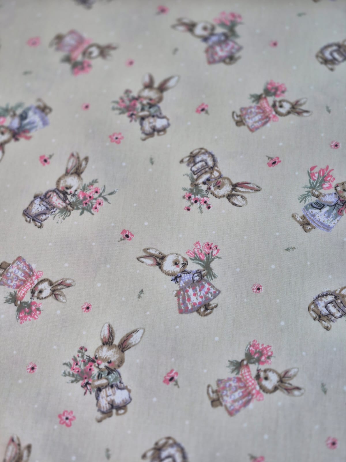 imagen de Gabardina ramo natural