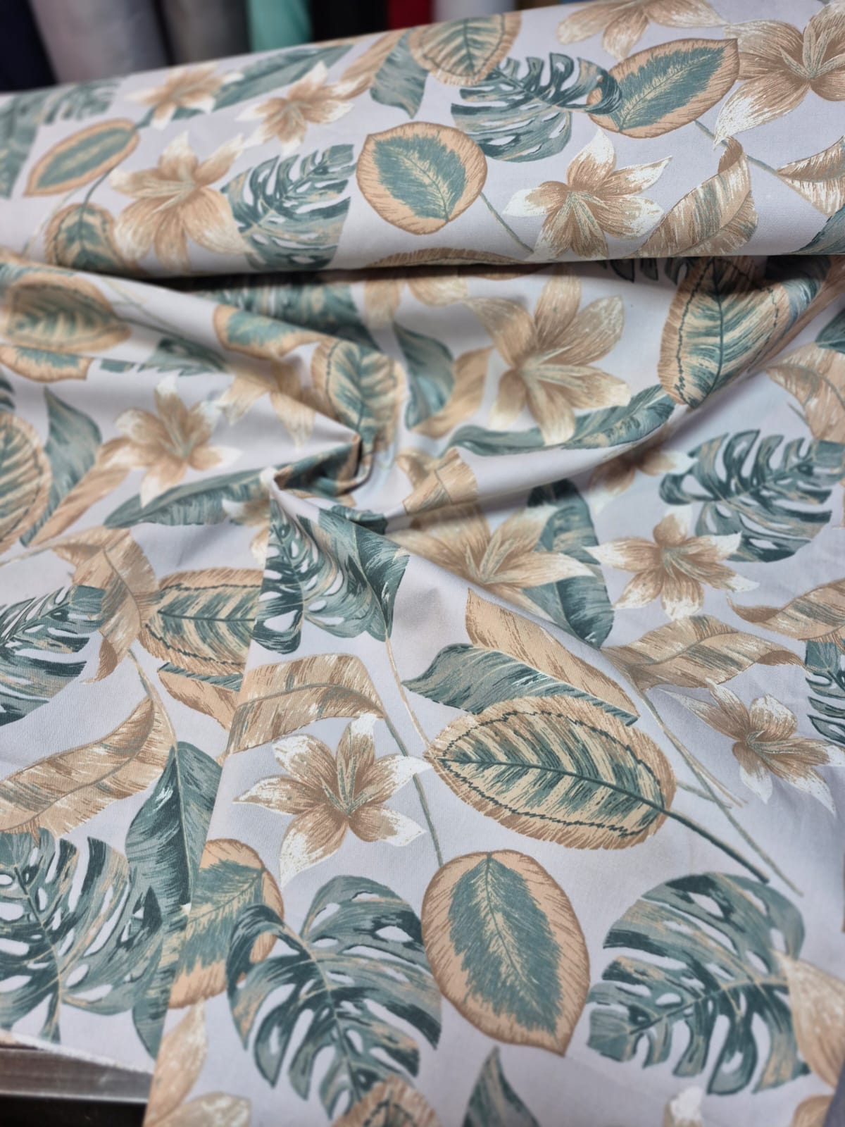 imagen de gabardina monstera green