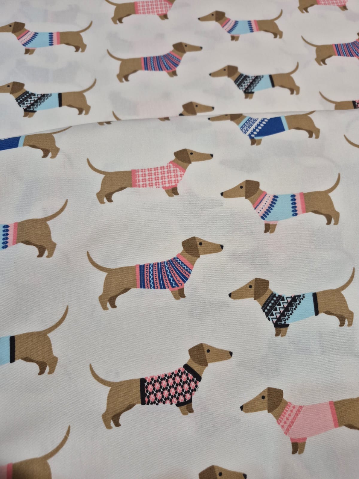 imagen de Gabardina perro salchicha
