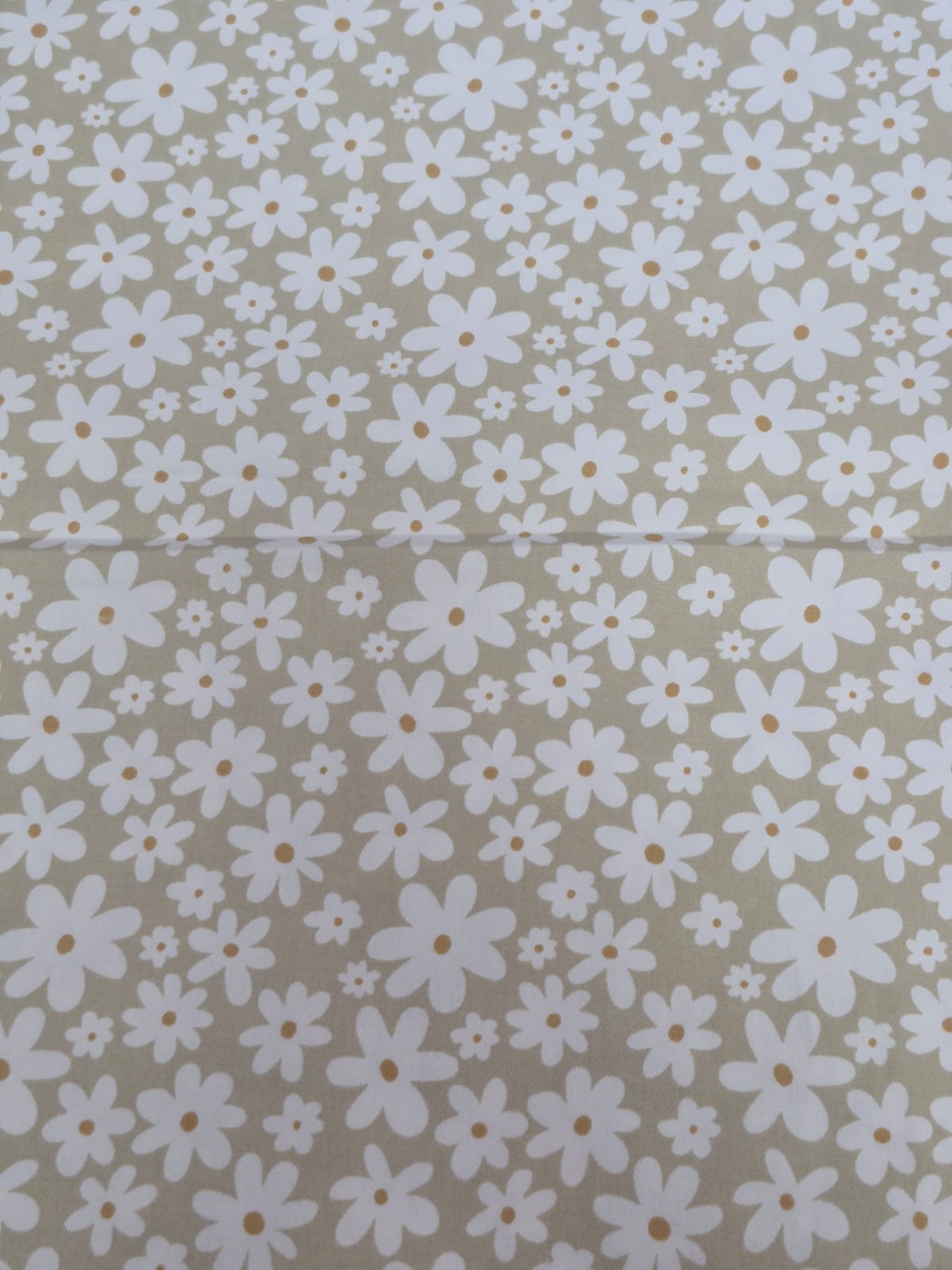 imagen de Gabardina margarita beige