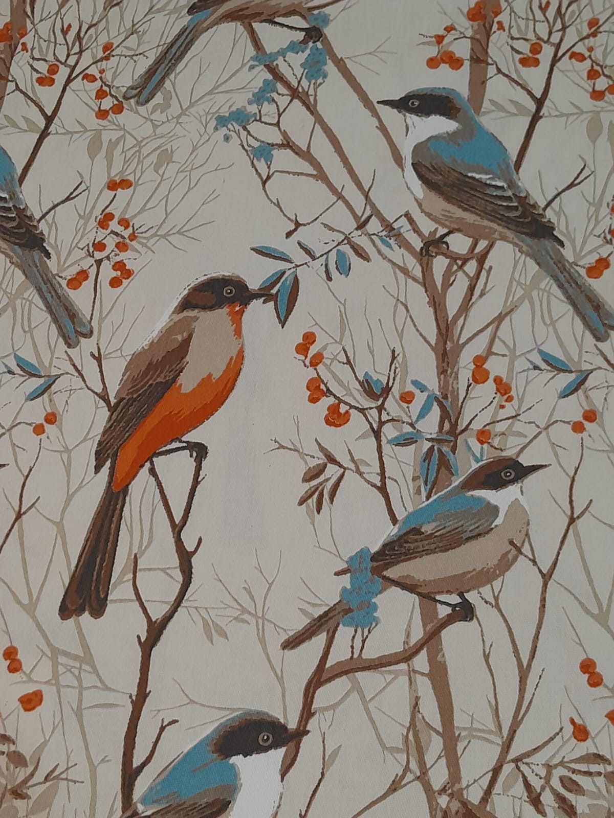 imagen de Gabardina pajaros color