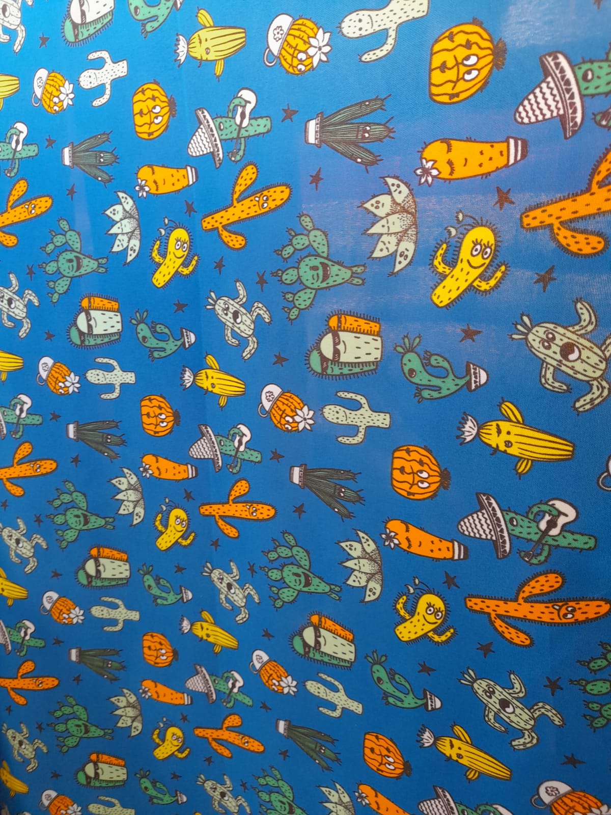 imagen de Lona fondo azul con cactus