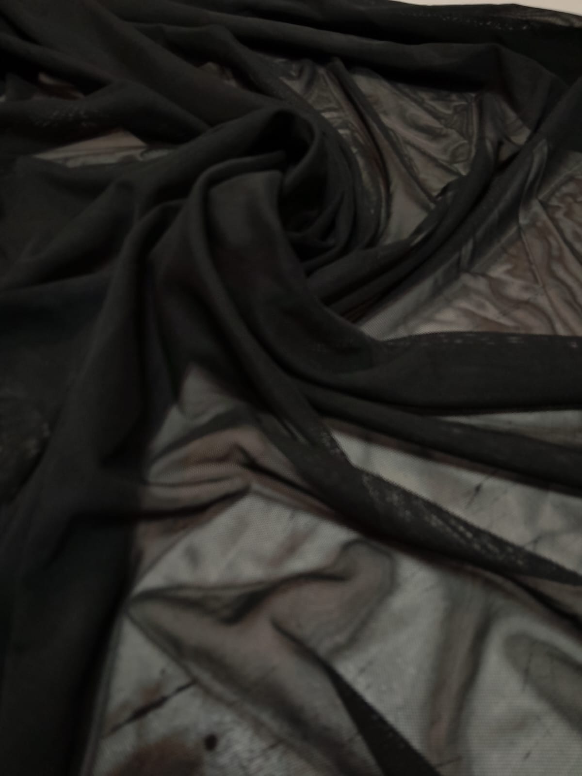 imagen de Microtul negro