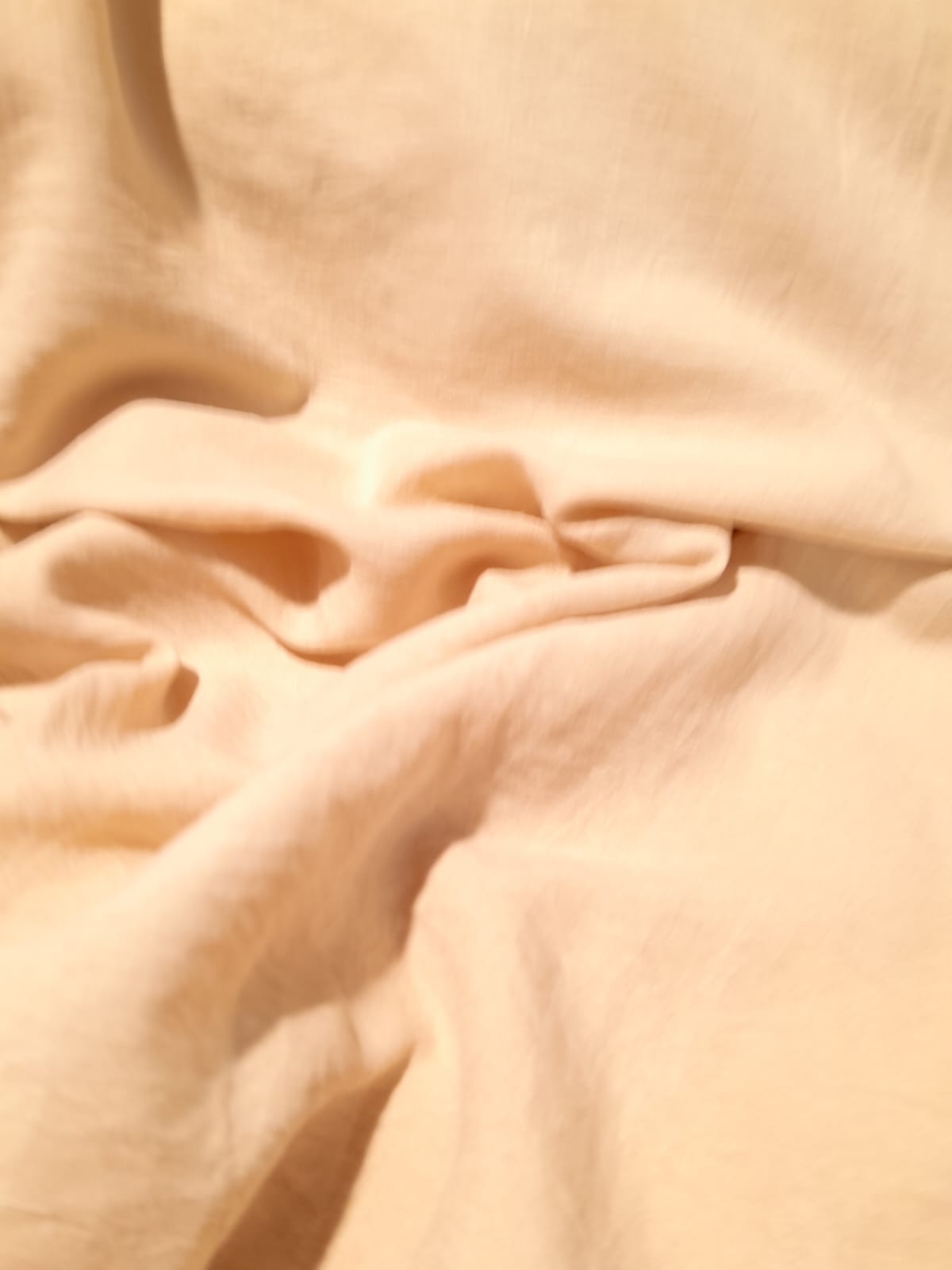 imagen de Seda Brush beige claro